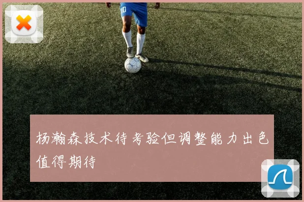 杨瀚森技术待考验但调整能力出色值得期待