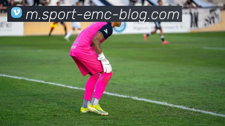 App Interface Preview